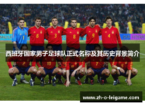 西班牙国家男子足球队正式名称及其历史背景简介